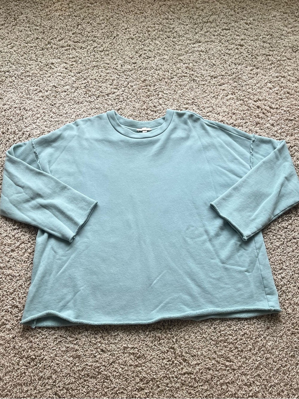 Cotton French terry Eileen Fisher sweatshirt